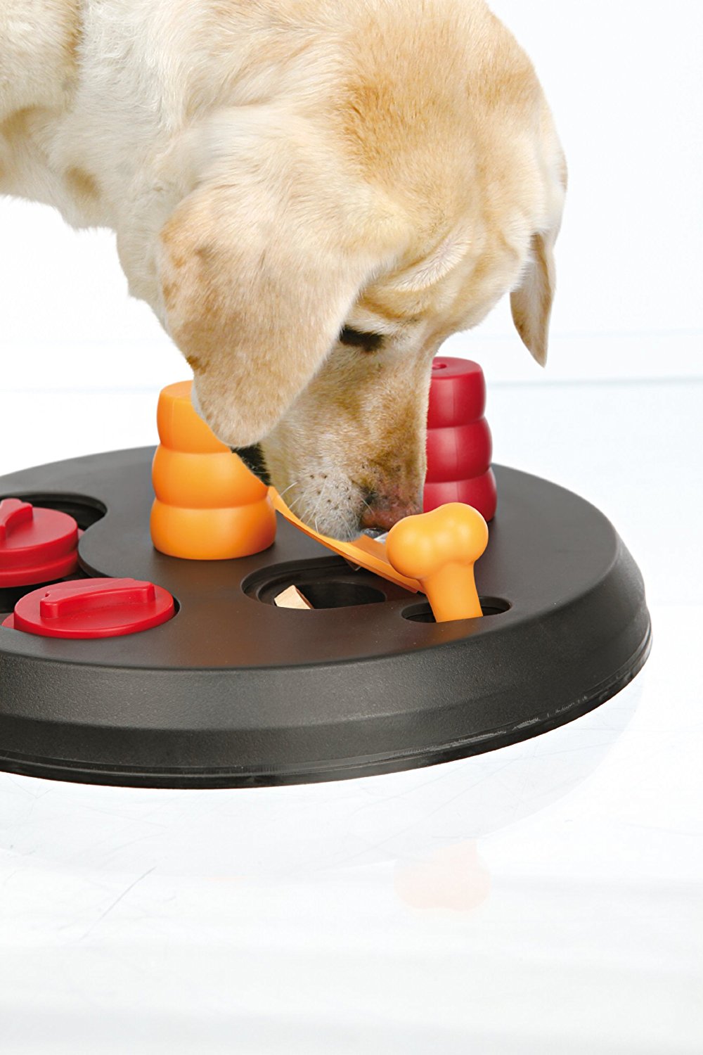 Trixie Pet Products Dog Activity Plastic Treat Hider Dog Toy in the Pet  Toys department at