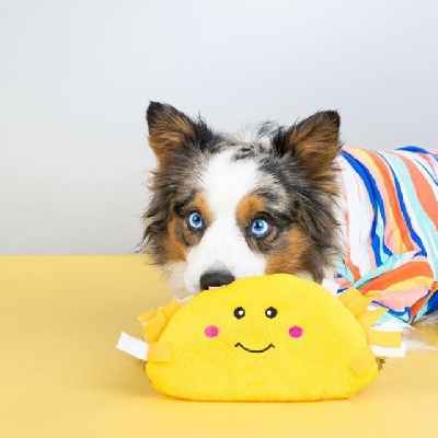 NOMNOMZ food themed Squeak Dog Toy. TACO 7
